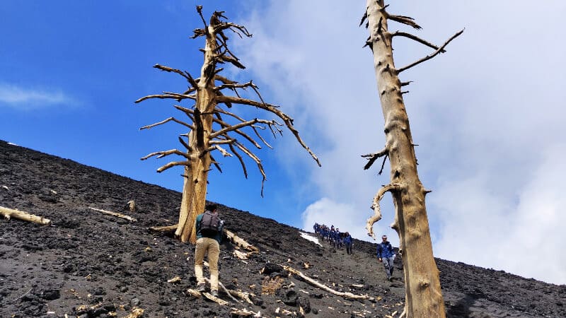 Etna 2002 Craters Guided Trek - Guided north-side trek from Piano Provenzana to the 1923 and 2002 eruption craters through lava fields and volcanic trails. Etna 2002 Craters Guided Trek